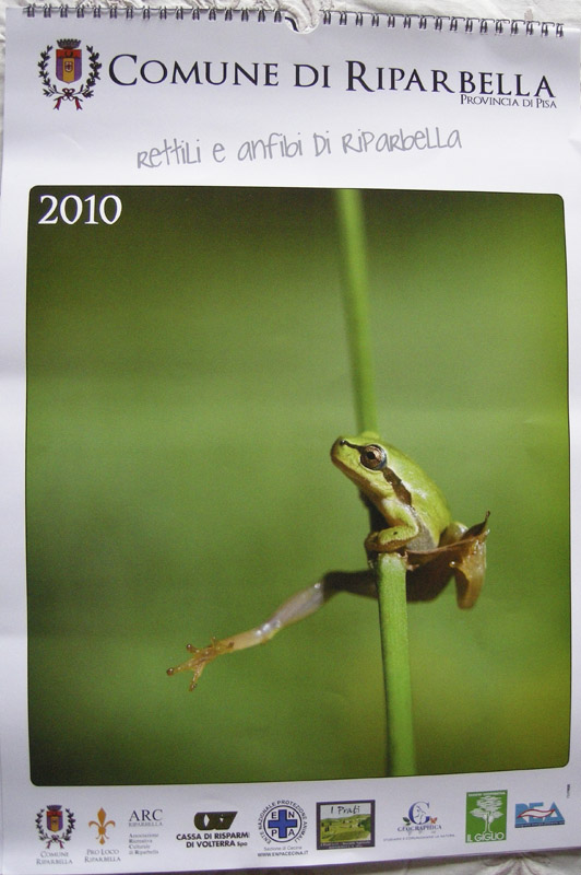 Calendario 2010 del Comune di Riparbella dedicato ai rettili